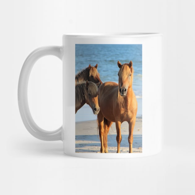 Assateague Beach Ponies Series - 01 by searchlight